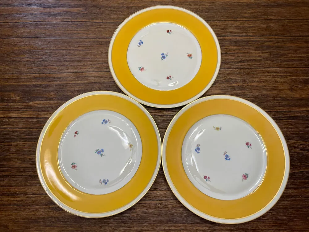 Furstenberg Porcelain Vintage Dinner Plates Yellow Gold Flowers Germany